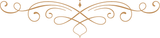 Decorative gold ornamental flourish with symmetrical curling vines on a white background