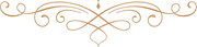 Decorative gold ornamental flourish with symmetrical curling vines on a white background