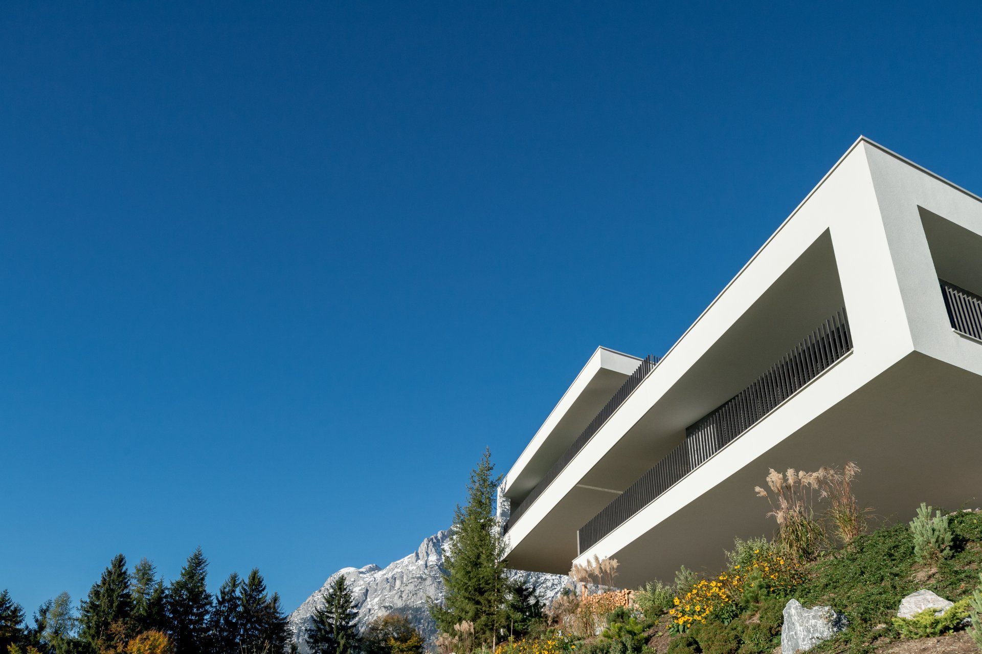 Ein großes weißes Gebäude mit einem blauen Himmel im Hintergrund