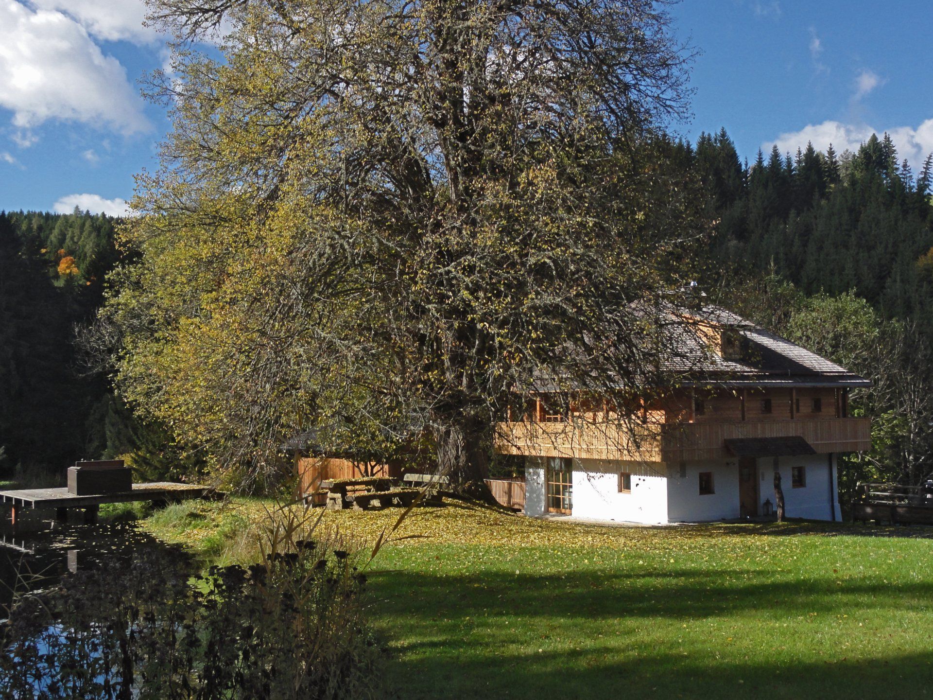Ein Haus mit einem großen Baum davor