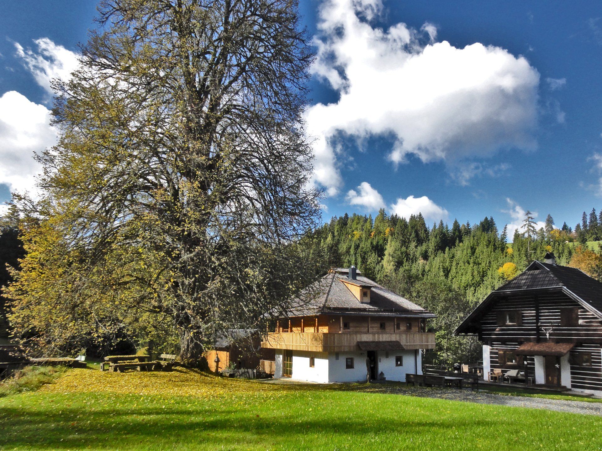 Ein Haus inmitten einer üppigen grünen Wiese
