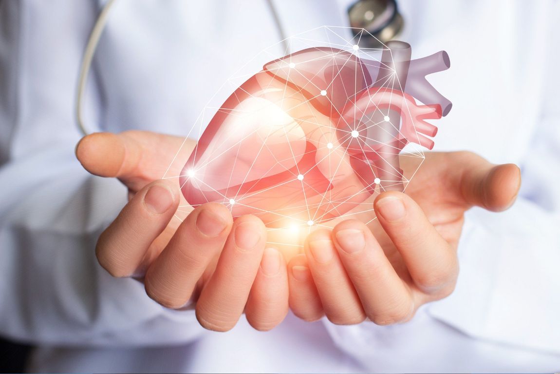 esame cardiovascolare