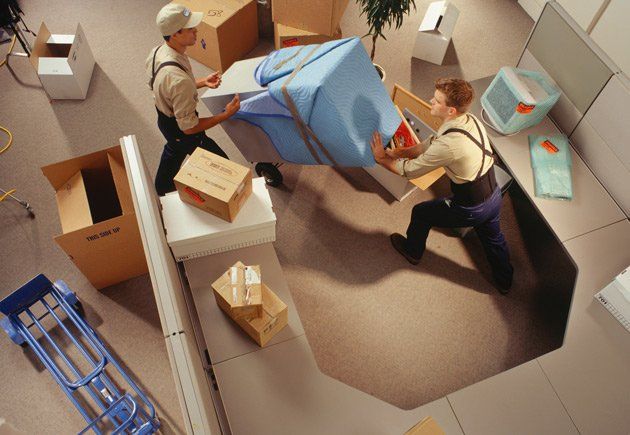 men moving boxes bay removals two removal men moving boxes