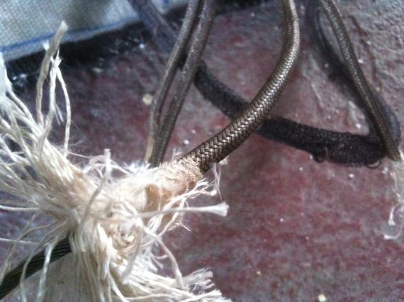 Close-up of shredded white material with a brown, braided cord, suggesting damage or wear.