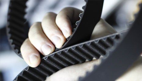 Belt