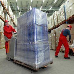 next-day pallet distribution