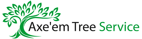 axeem tree service logo axeem tree service logo