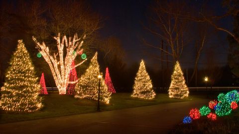 Commercial Tree Lighting Decoration — Butler, NJ — Precision Sprinklers Commercial Tree Lighting Decoration — Butler, NJ — Precision Sprinklers