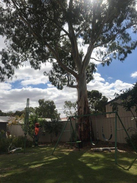 Man in backyard