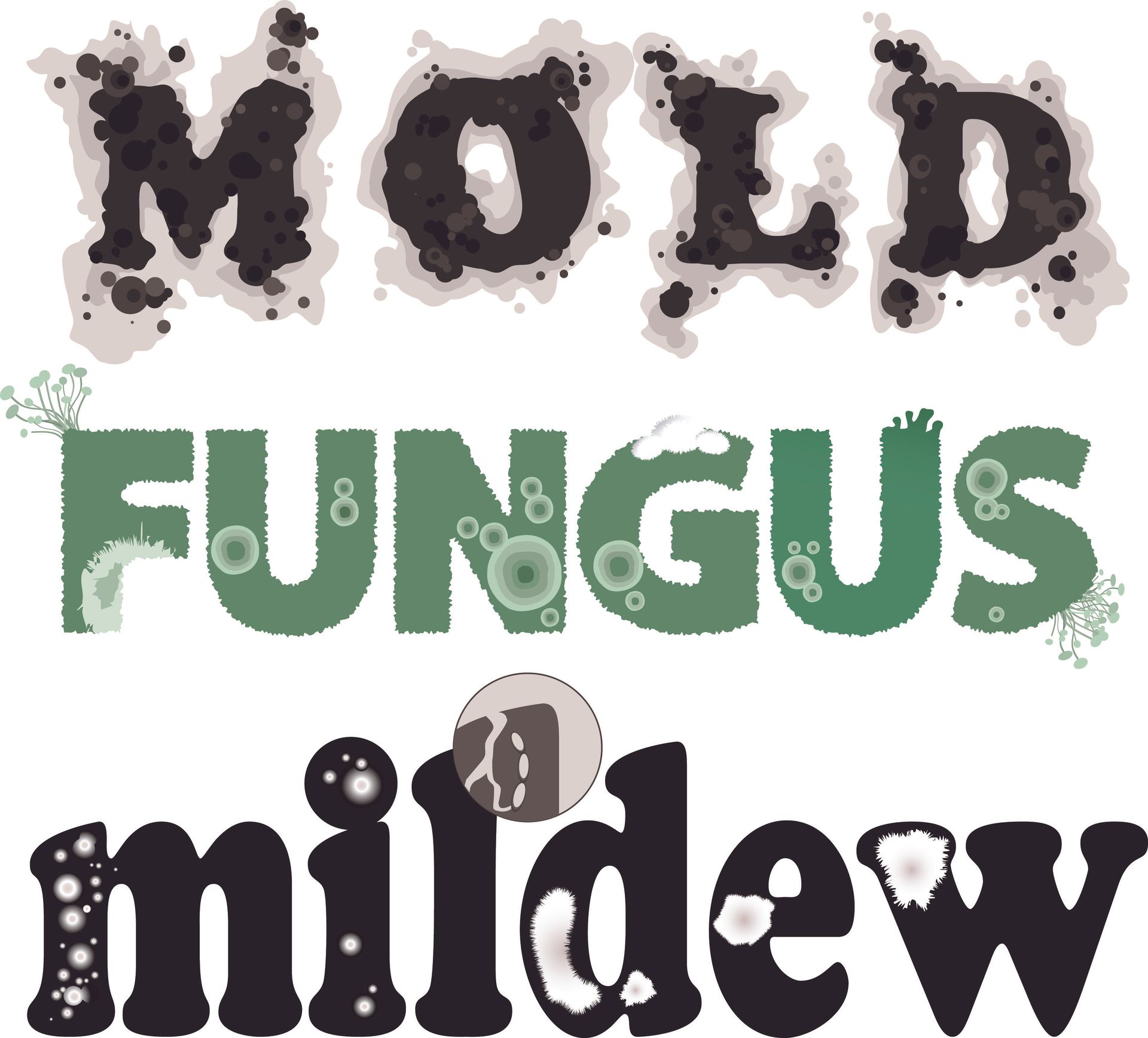 certified mold testing
