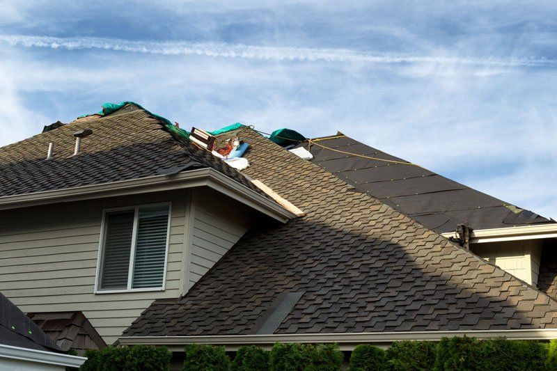 roof replacement