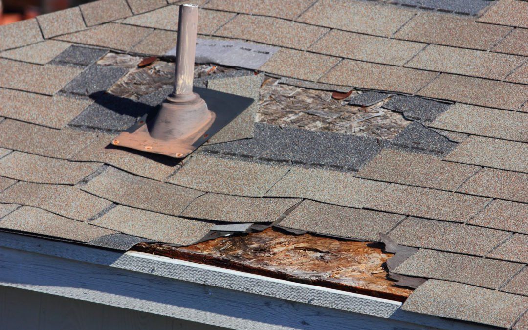 roof repair