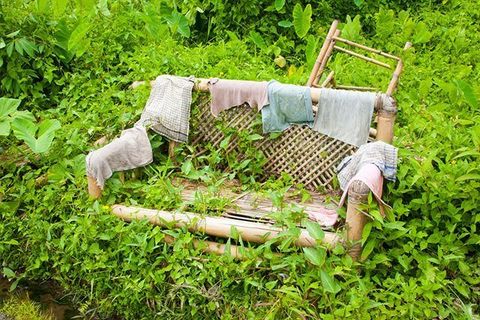 Garden clearance