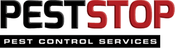 Pest control Bath, Somerset, Swindon Pest Stop: Pest Control Services