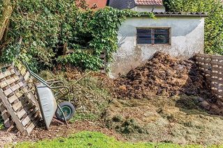 PEST CONTROL SERVICES in Bath, Somerset, Swindon
