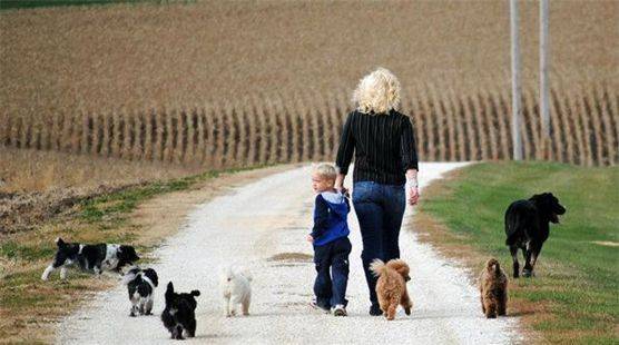 Woman and her son taking their dogs for a walk