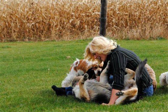 Kimberlee giving belly rubs to dogs
