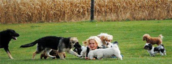 Blonde woman laying in the grass with dogs