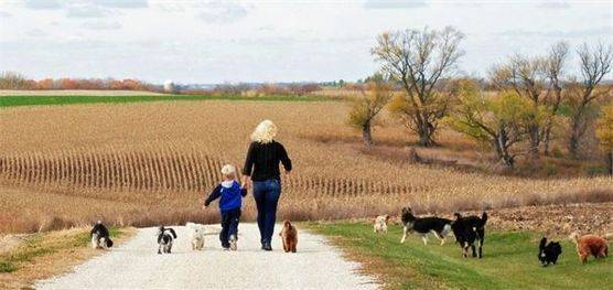 Kimberlee and her son taking their dogs for a walk 