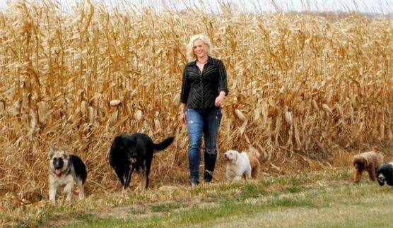 Woman on a walk through a field with dogs