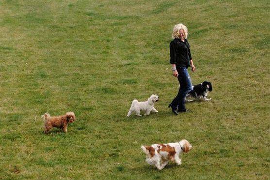 Woman playing outside with her dogs in the grass
