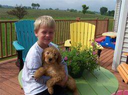 Young boy cuddling with his dog on their deck with colorful outdoor furniture