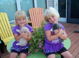 two twin girls cuddling with kittens on their deck with colorful furniture