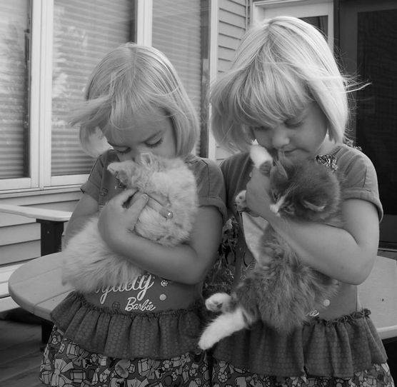 Kimberlee's twin daughters cuddling with their kittens on the deck