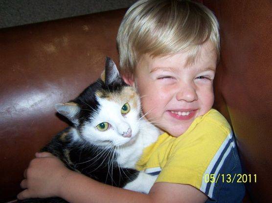 Young boy cuddling with a calico cat on a leather couch