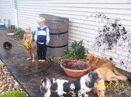 a young girl and boy playing outside with their dogs