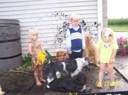 Kimberlee's children playing outside with their dogs 