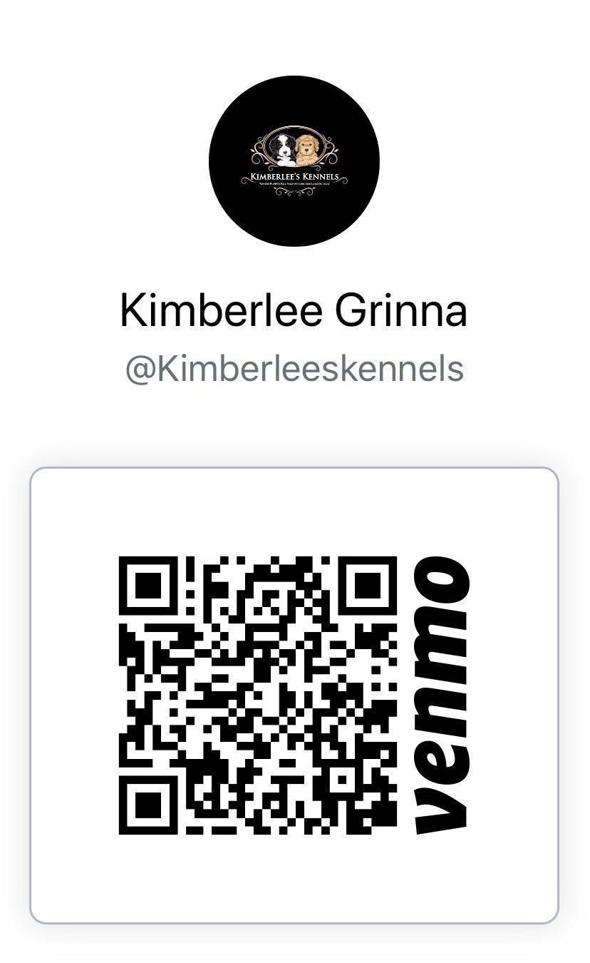 Venmo QR code