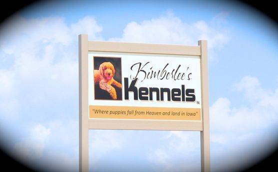 Kimberlee's Kennels billboard
