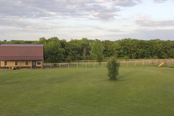 Barn and runs for adult dogs to run and play
