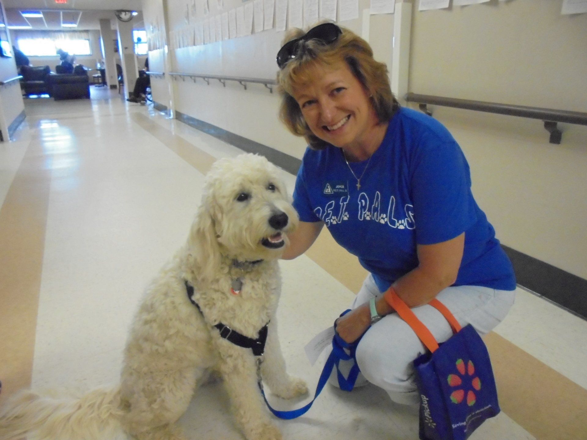 english cream therapy dog with handler in hospital