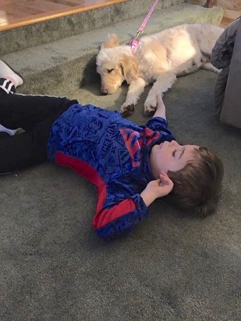 School service dog from Kimberlee's Kennels 