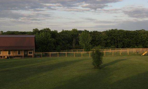 Barn with runs for dogs to play in
