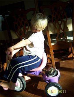 Kimberlee's son riding a children's bike with a puppy in the basket