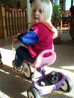 Kimberlee's daughter riding a children's bike with a puppy in the basket