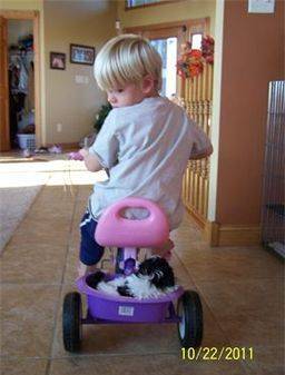 Kimberlee's son playing in their home