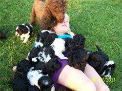 One of Kimberlee's daughters cuddling with a litter of puppies in their front yard