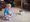 Kimberlee's son playing with a puppy in the living room