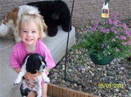 Kimberlee's daughter playing outside with their dogs