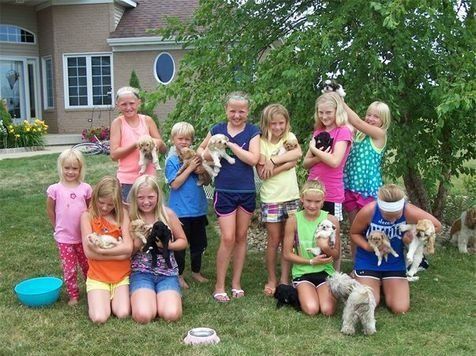 group of kids holding doodle puppies outside in the summer