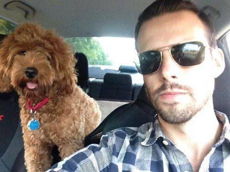 Goldendoodle puppy on car ride with his owner