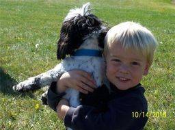 Kimberlee's youngest son playing outside with one of their dogs