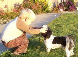 Kimberlee's youngest son petting their dog in the front yard