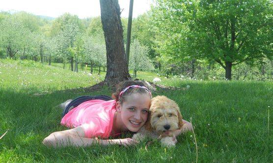 Puppy playing in the grass with her owner