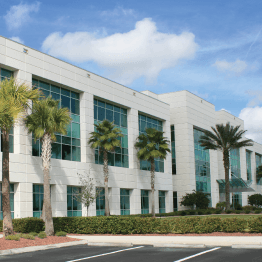 A large white building with palm trees in front of it