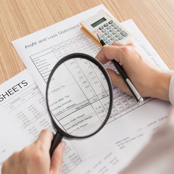 Annual accounts preparation & Company secretarial services